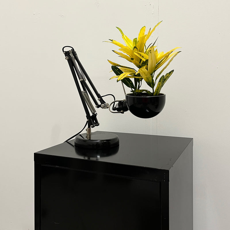 Plant Lamp